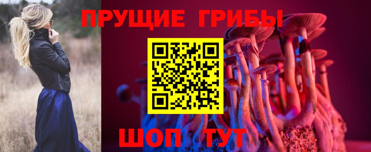 магазин продажи наркотиков  Псилоцибиновые грибы MAGIC MUSHROOMS  Вход с VPN  Борзя  Галлюциногенные грибы мухоморы 
